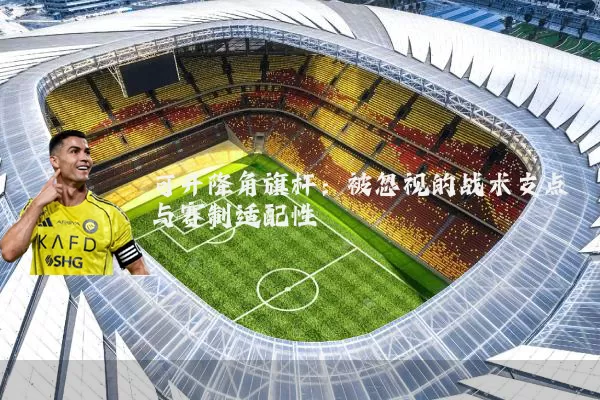 可升降角旗杆：被忽视的战术支点与赛制适配性